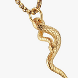 HZMAN Gothic Jewelry Men's Stainless Steel Animal Snake Pendant Necklace